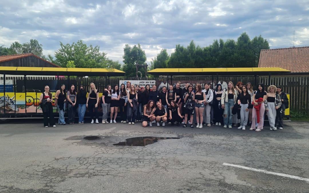 Výlet tříd K1B a K2B do Zooparku a Dinoparku Vyškov