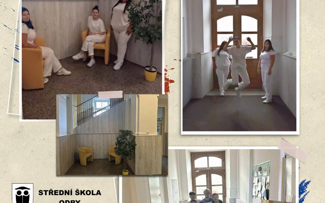 Estetizace vstupních prostor ve Vítkově